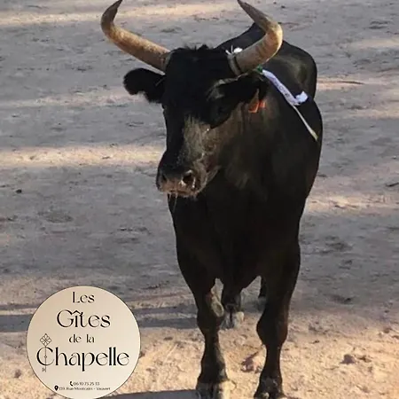 Les De La Chapelle 3 Apartment Vauvert